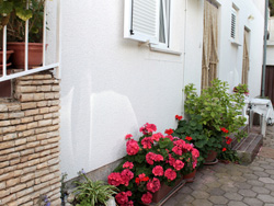 Apartmani Vera - Kuca2