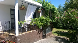 Apartmani Vera - Ku�ica